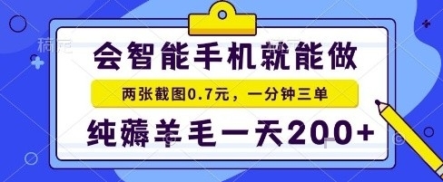 手机项目，二十秒一单，纯薅羊毛一天2张+做就有【揭秘】-大熊网创