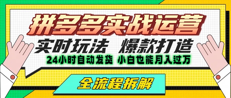 拼多多最新实战运营高投产：长久稳定项目，单店利润一天三位数-大熊网创