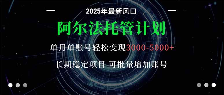 阿尔法托管计划 单账号月入3000-5000，长期稳定项目，新手小白轻松上手。-大熊网创