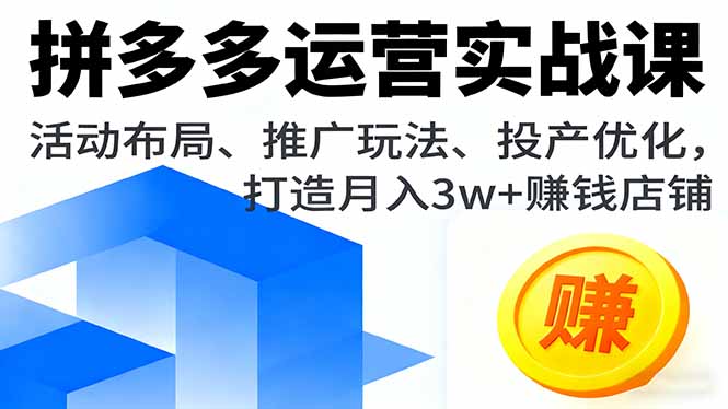 拼多多运营实战课，活动布局、推广玩法、投产优化，打造月入3w+赚钱店铺-大熊网创