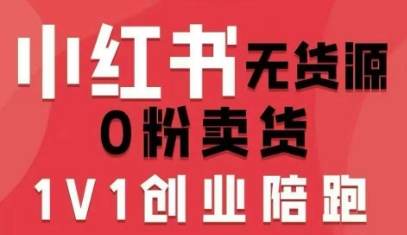 小红书无货源0粉电商课，开店准备、选品策略、笔记撰写、视频剪辑、数据分析、账号打造、资料文档-大熊网创