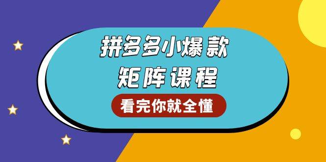 （13699期）拼多多爆款矩阵课程：教你测出店铺爆款，优化销量，提升GMV，打造爆款群-大熊网创