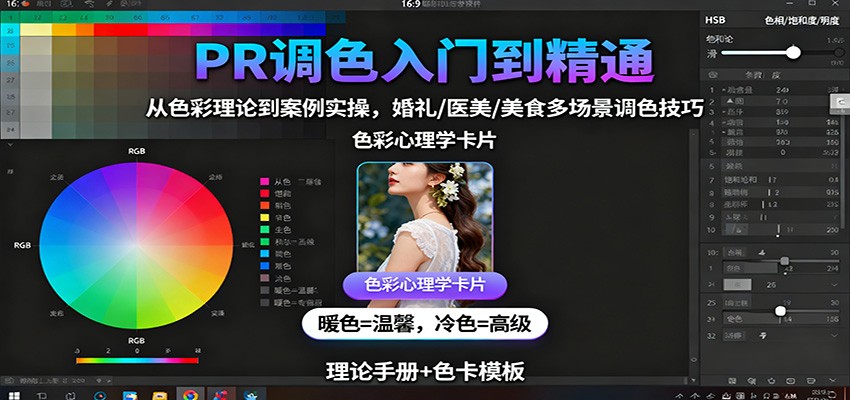 PR调色入门到精通：从色彩理论到案例实操，婚礼/医美/美食多场景调色技巧-大熊网创