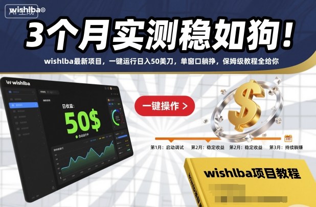 3个月实测稳如狗！wishlba最新项目，一键运行日入50美刀，单窗口躺挣，保姆级教程全给你【揭秘】-大熊网创