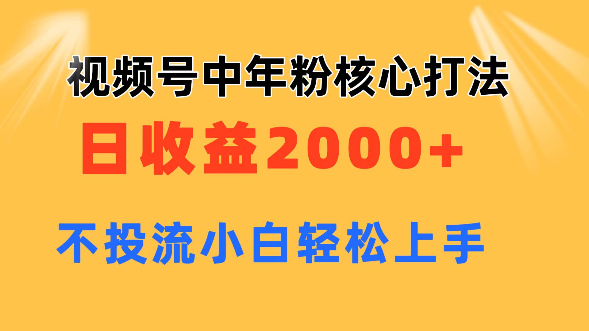 （11205期）视频号中年粉核心玩法 日收益2000+ 不投流小白轻松上手-大熊网创