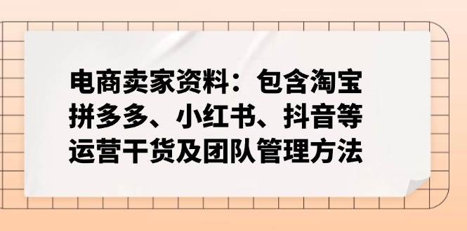 （14354期）电商卖家资料：包含淘宝、拼多多、小红书、抖音等运营干货及团队管理方法-大熊网创