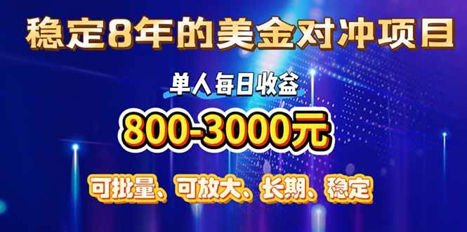 （15782期）稳定8年的美金对冲创业项目，单人每日收益800-3000，小众暴力项目-大熊网创