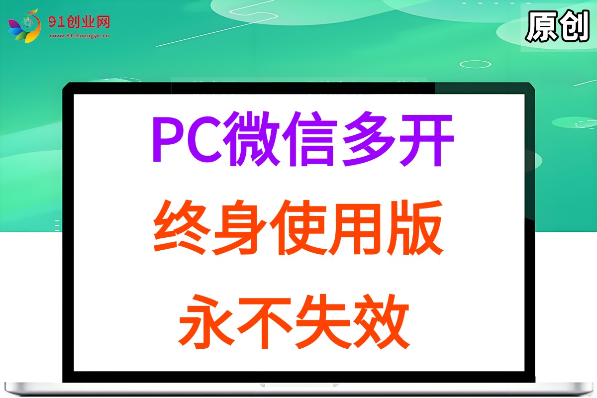 （15335期）PC微信多开终身定制版，超级简单，几行代码搞定，永不失效-大熊网创