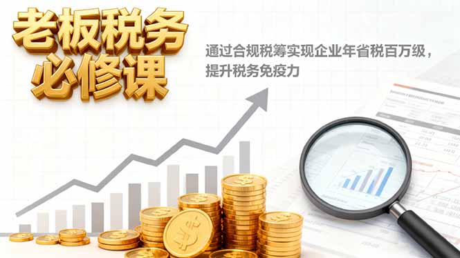 老板税务必修课，通过合规税筹实现企业年省税百万级，提升税务免疫力-大熊网创