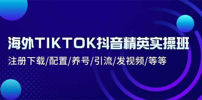 （10998期）海外TIKTOK抖音精英实操班：注册下载/配置/养号/引流/发视频/等等-大熊网创