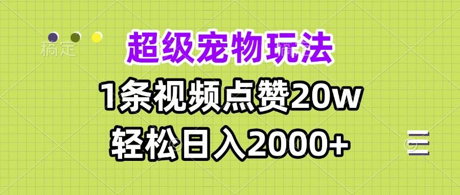 （13578期）超级宠物视频玩法，1条视频点赞20w，轻松日入2000+-大熊网创