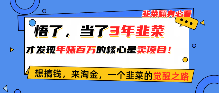 （10759期）悟了，当了3年韭菜，才发现网赚圈年赚100万的核心是卖项目，含泪分享！-大熊网创