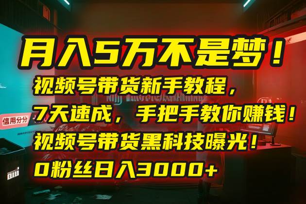 （15595期）月入5万不是梦！视频号带货新手教程，7天速成，手把手教你赚钱！视频号…-大熊网创