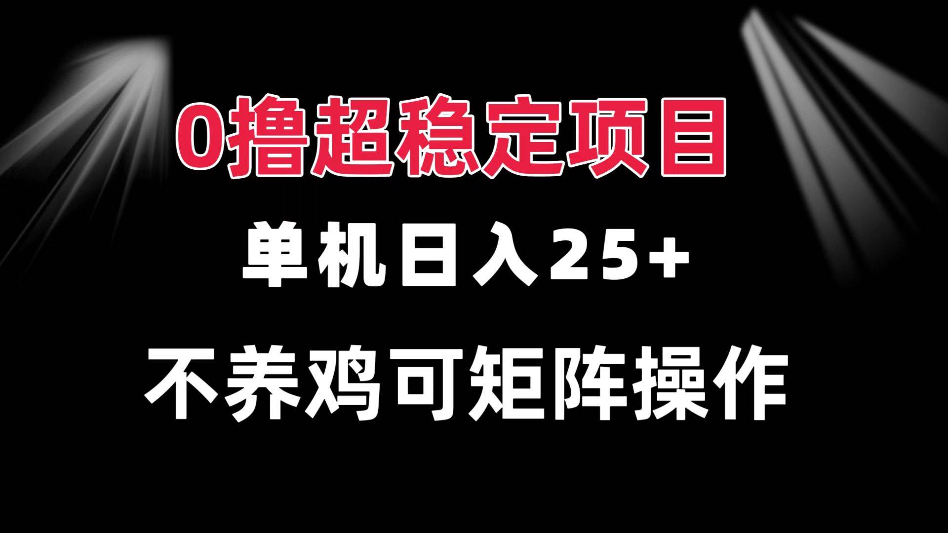（13355期）0撸项目 单机日入25+ 可批量操作 无需养鸡 长期稳定 做了就有-大熊网创