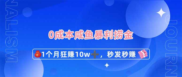 （14257期）0成本闲鱼暴利捞金，1个月狂赚10W+，秒发秒赚新玩法-大熊网创