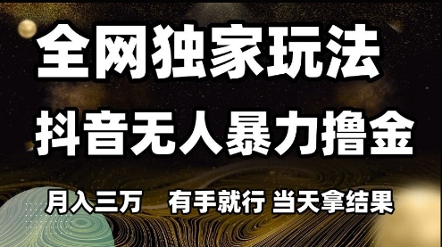 全网独家玩法抖音无人暴力撸金，月入3W，有手就行，当天拿结果【揭秘】-大熊网创