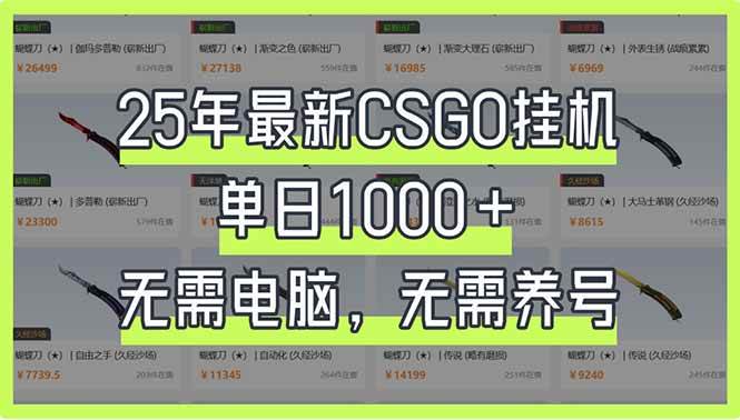 （14178期）25年最新CSGO挂机系统，单日1000+，无需电脑，无需养号，0基础可上手-大熊网创