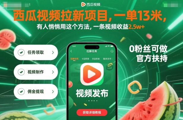 西瓜视频拉新项目，一单13米，有人悄悄用这个方法，一条视频收益2.5w+(附详细教程)-大熊网创