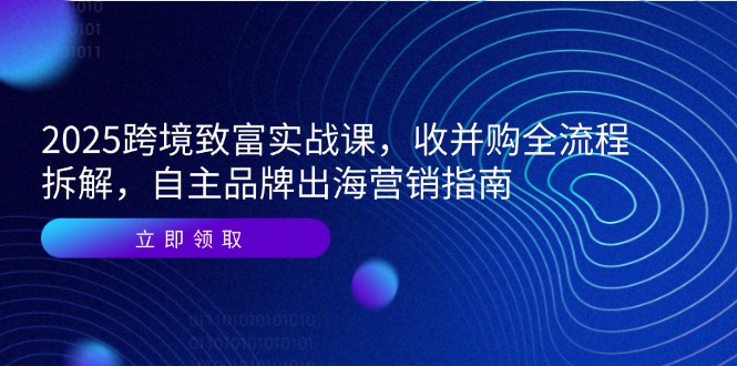 2025跨境致富实战课，收并购全流程拆解，自主品牌出海营销指南-大熊网创