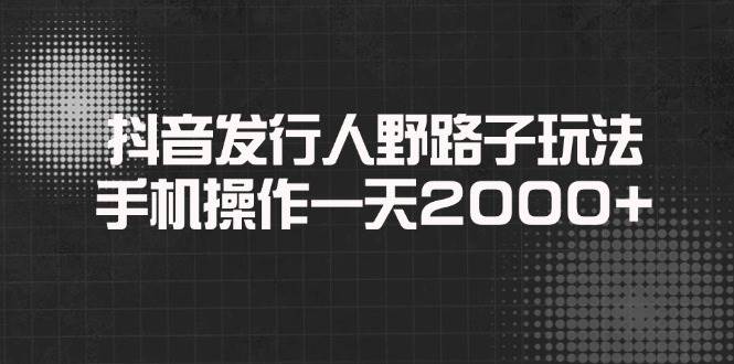 （14068期）抖音发行人野路子玩法，手机操作一天2000+-大熊网创