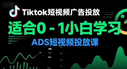 Tiktok短视频广告投放，适合0-1小白学习ADS短视频投放课-大熊网创