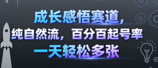 成长感悟赛道，纯自然流，百分百起号率 一天轻松多张-大熊网创