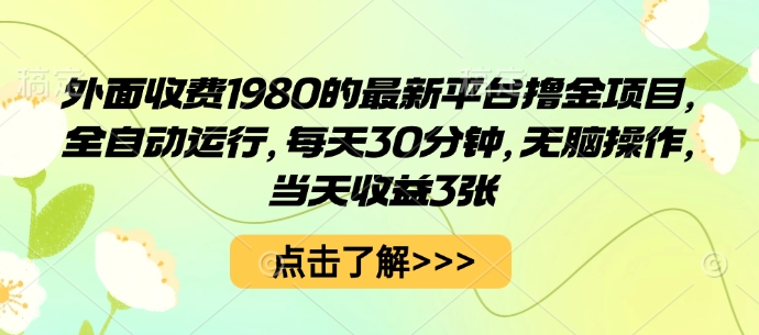 外面收费1980的最新平台撸金项目，全自动运行，每天30分钟，无脑操作，当天收益3张【揭秘】-大熊网创