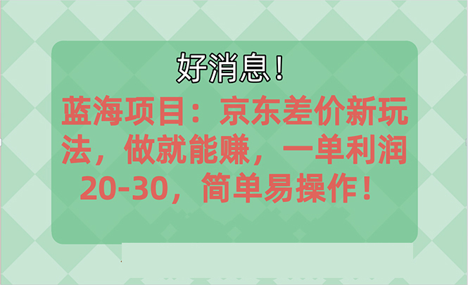 （10989期）越早知道越能赚到钱的蓝海项目：京东大平台操作，一单利润20-30，简单…-大熊网创