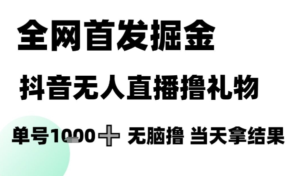 全网首发掘金抖音无人直播撸礼物，单号1k +无脑撸，当天拿结果【揭秘】-大熊网创