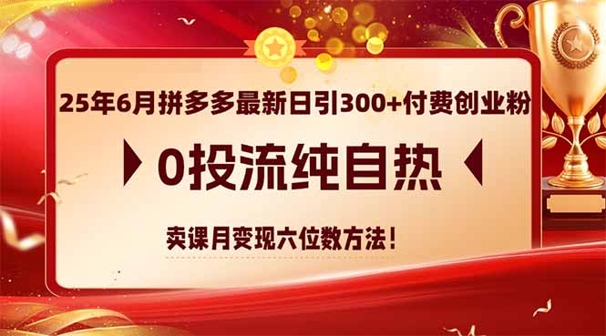 25年6月拼多多最新日引300+付费创业粉，0投流纯自热 卖课月变现六位数方法-大熊网创