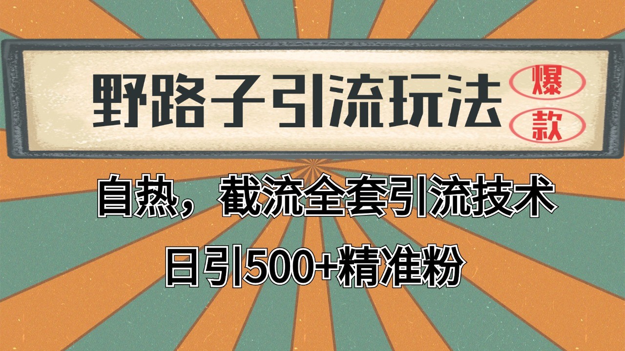 2024首发野路子引流玩法截流自热全平台打法，全自动引流【日引2000+精准客户】-大熊网创
