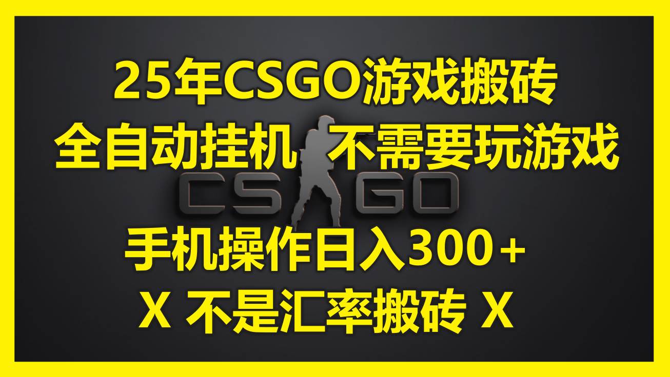 （14902期）25年CSGO游戏搬砖，全自动挂机，不需要玩游戏，手机操作日入300+。(不…-大熊网创