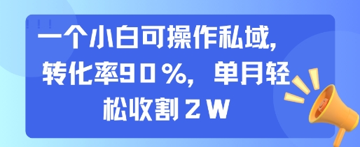 一个小白可操作私域，转化率90%，单月轻松收割2W-大熊网创