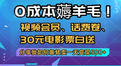0成本薅羊毛!视频会员、话费卷、30元电影票白送，分享我如何靠转卖一天变现5张+【揭秘】-大熊网创