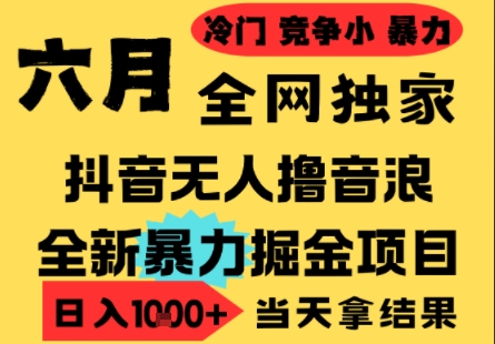 25年6月高爆抖音无人直播最新撸音浪掘金项目，小白可做，无脑日入1k+，门槛低可批量矩阵【揭秘】-大熊网创