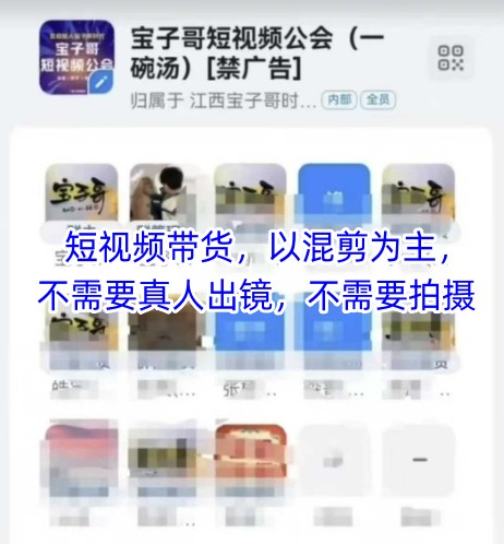 宝子哥头部团队短视频带货，以混剪为主，不需要真人出镜，不需要拍摄【更新9月】-大熊网创