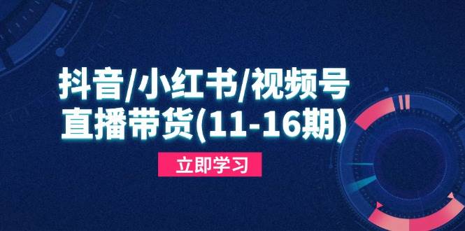 （14611期）抖音/小红书/视频号/直播带货(11-16期)，快速掌握平台规则，打造爆款内容-大熊网创