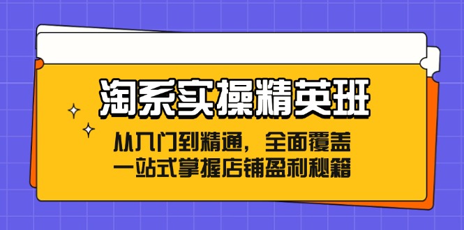 （12276期）淘系实操精英班：从入门到精通，全面覆盖，一站式掌握店铺盈利秘籍-大熊网创