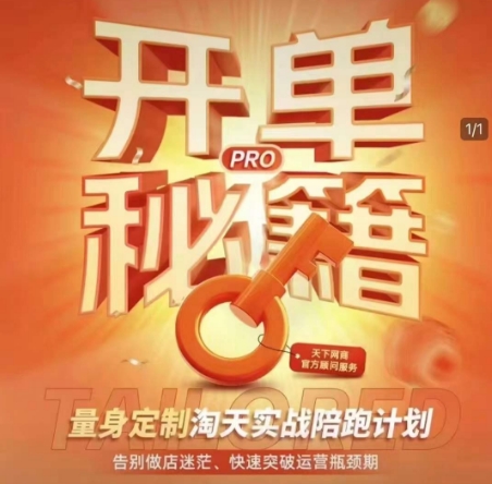 淘宝开单秘籍PRO，量身定制淘天实战陪跑计划，告别做店迷茫、快速突破运营瓶颈期(更新6月)-大熊网创