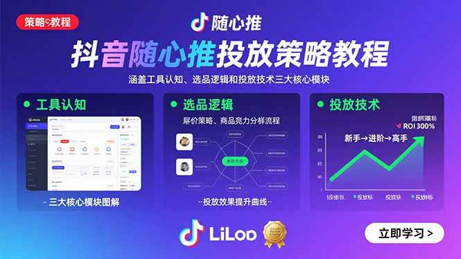 （15828期）抖音随心推投放策略教程：涵盖工具认知、选品逻辑和投放技术三大核心模块-大熊网创