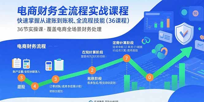 电商财务全流程实战课程：快速掌握从建账到报税的全流程技能(36节课-大熊网创