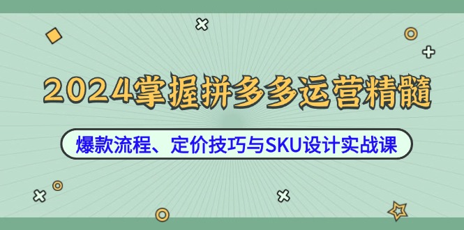 （12703期）2024掌握拼多多运营精髓：爆款流程、定价技巧与SKU设计实战课-大熊网创