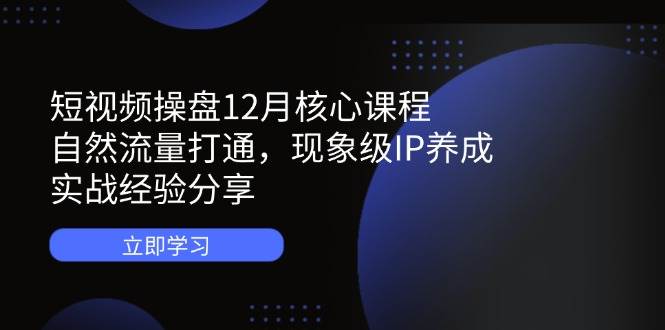 （14447期）短视频操盘12月核心课程：自然流量打通，现象级IP养成，实战经验分享-大熊网创