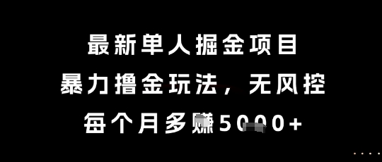 最新单人掘金项目，暴力撸金玩法，无风控，每个月多挣5k+【揭秘】-大熊网创