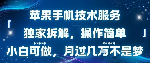 苹果手机技术服务，独家拆解，操作简单，小白可做，月过1W不是梦-大熊网创