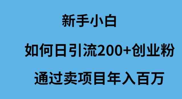 （9668期）新手小白如何日引流200+创业粉通过卖项目年入百万-大熊网创
