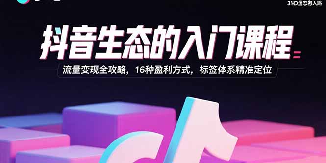 抖音生态的入门课程：流量变现全攻略，16种盈利方式，标签体系精准定位-大熊网创