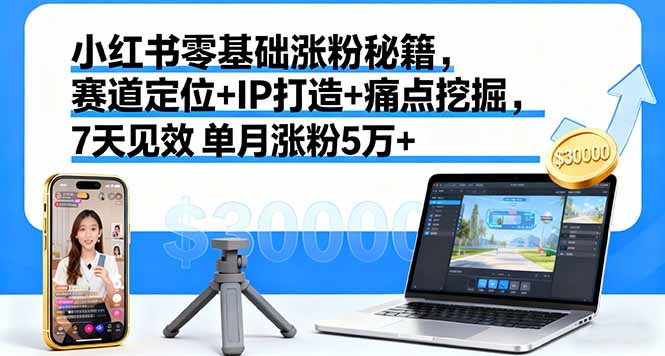 小红书零基础涨粉秘籍，赛道定位+IP打造+痛点挖掘，7天见效 单月涨粉5万+-大熊网创