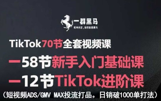 TikTok全套视频课，新手入门+进阶课，短视频ADS-GMV MAX投流打品，日销破1000单打法-大熊网创