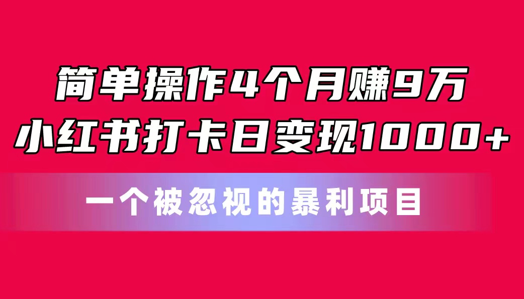 （11048期）简单操作4个月赚9万！小红书打卡日变现1000+！一个被忽视的暴力项目-大熊网创